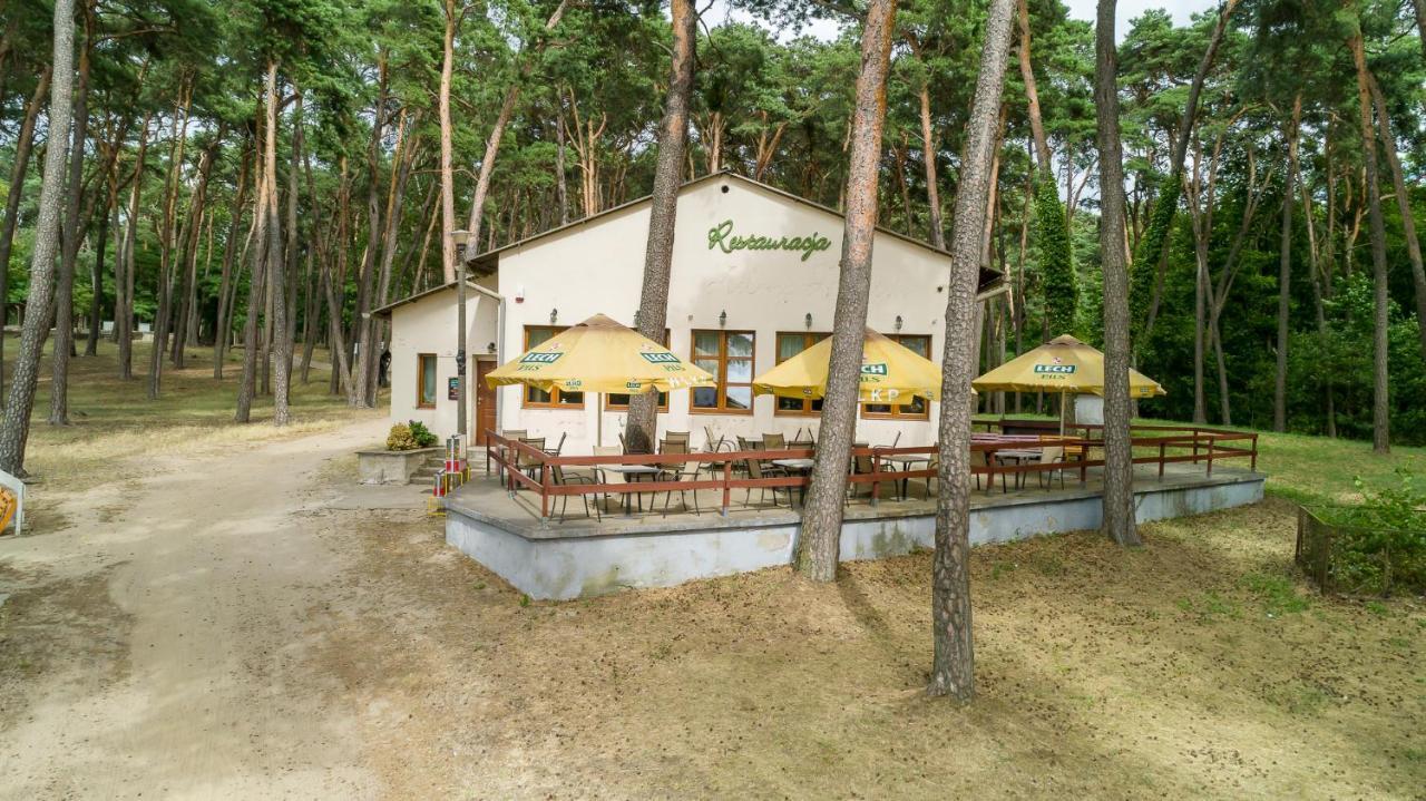 Domki Jak Prlu W Camp Lipno Steszew Exterior photo